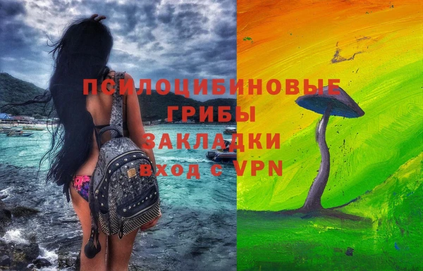 гашик Баксан